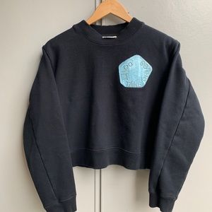 Acne Studios Bird Fleece AW14 Cropped Crewneck